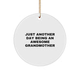 Grandma Gifts, Circle Ornament, Funny Quotes for Grandma, Christmas Unique Gifts from Grandchildren, Gifts for Grandma - Image 1